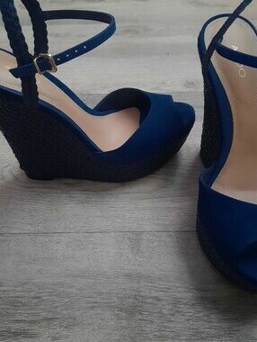 Aldo Blue Espridilla Wedge Sandals with Ankle Strap